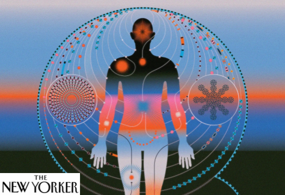 Se a IA pode diagnosticar pacientes, para que servem os médicos?